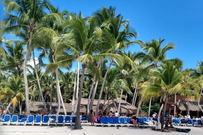 Saona Island: White Sands & Turquoise Waters” - What the $72 price really offers