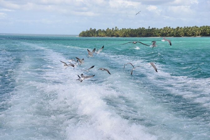 Saona, Mano Juan, Canto de la playa away from the tourist crowds - The natural pool and its giant starfish