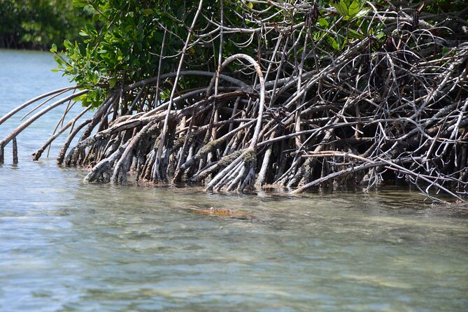 Saona, Mano Juan, Canto de la playa away from the tourist crowds - Mano Juan, a real fishing village and turtle nursery