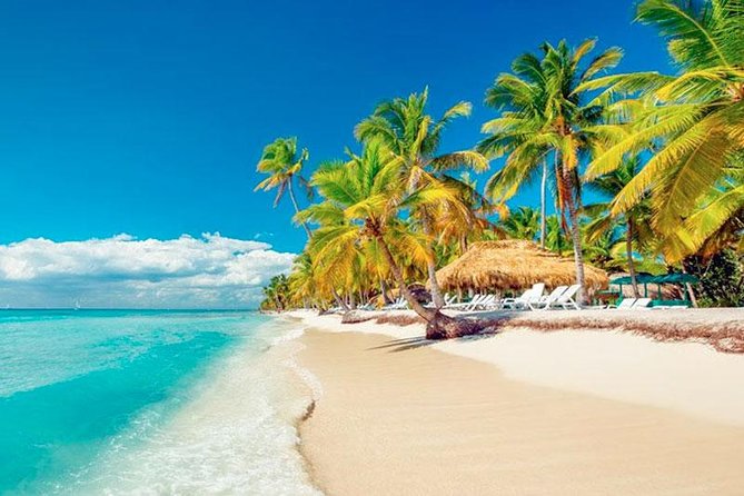 Saona Platinum Beach Day - Bayahibe is the working gateway to Saona