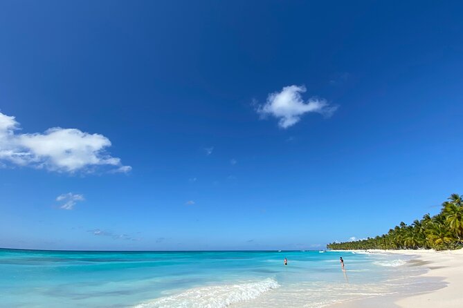 Saona Private Full-Day Tour from Punta Cana - The blue lagoon and natural-pool stop