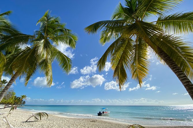 Saona Private Full-Day Tour from Punta Cana - Is $660 per person a good value?
