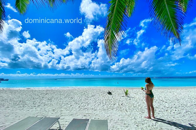 Saona Private Tour with Own Guide and Transport from Punta Cana - A covered speedboat instead of a slow catamaran