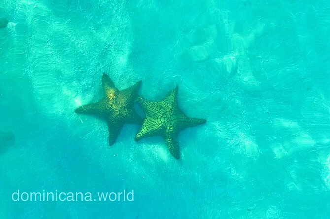 Saona Private Tour with Own Guide and Transport from Punta Cana - Saona Island and the long beach break