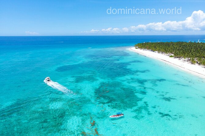 Saona Private Tour with Own Guide and Transport from Punta Cana - The blue lagoon, starfish, and floating bar