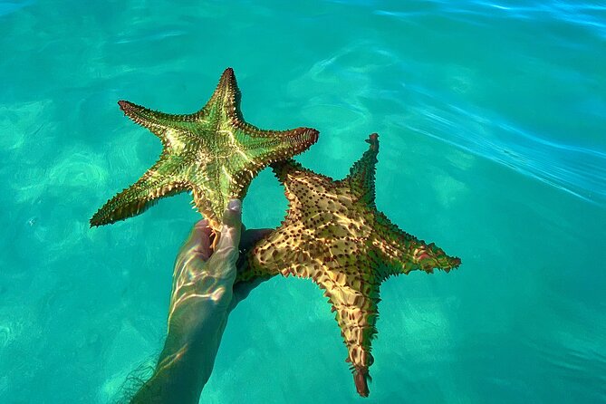 Saona Private Tour with Own Guide and Transport from Punta Cana - What $460 per person really buys you