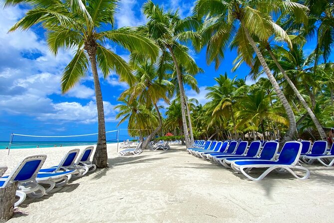 Saona Private Tour with Own Guide and Transport from Punta Cana - Who will get the most from this private day