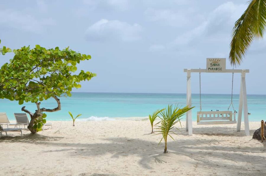 Saona Special Tour: 4 Beaches with Canto from Punta Cana - Key points to know before booking