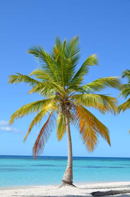 Saona Special Tour: Four Beaches & Canto Experience - Canto de la Playa, the day’s best beach stop