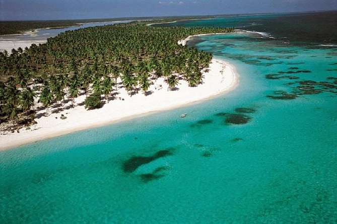 Saona Vip speedboat - Snorkeling with modest expectations