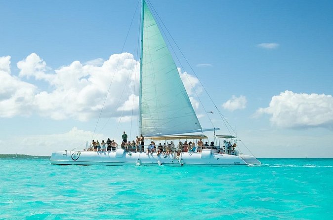 Saône Deluxe Platinum Island - What the $109 price really buys