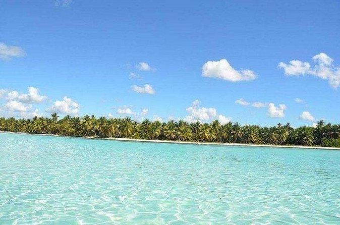 Saône Deluxe Platinum Island - Who will enjoy this experience most