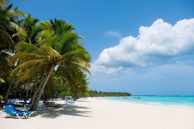 Saône Island from Punta Cana Catamaran, Natural Pool and Lunch - The natural pool stop: one hour in clear water