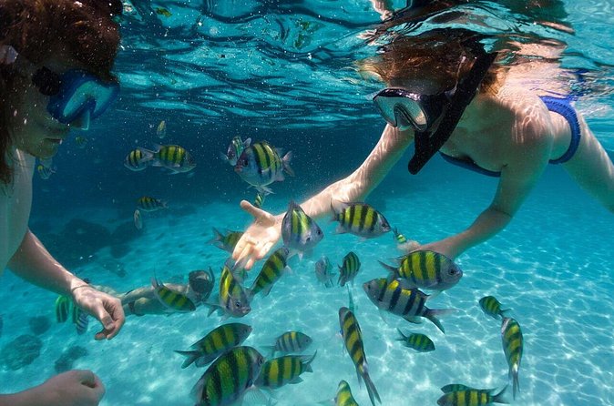 Scape Park Sunshine Cruise at Cap Cana - Coastline views with a drink in hand