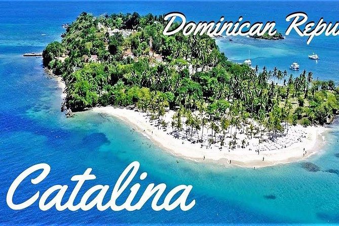 Scuba Diving at Catalina Island - 2 tank | 2 spots - Catalina Island begins with a long morning