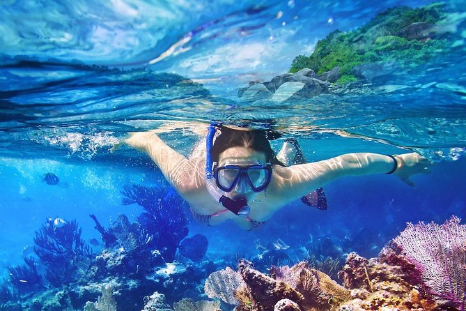 Scuba Diving at Catalina Island - 2 tank | 2 spots - Who will get the most from this Catalina trip?