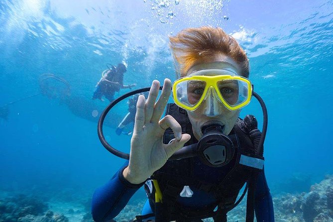 Scuba Diving at Catalina Island - 2 tank - for Certified Divers - Key points to know before you book