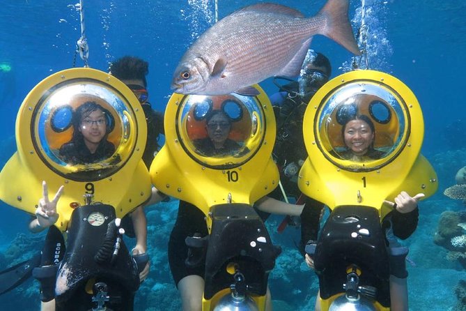Scuba Doo Diving Experience in Punta Cana - Key Points to Know Before You Go