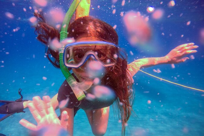Shared 2 hours Sosúa Bay Snorkeling with Professional Guide - Is $45 a fair price?