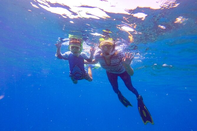 Shared 2 hours Sosúa Bay Snorkeling with Professional Guide - What happens at the Sosúa Bay meeting point