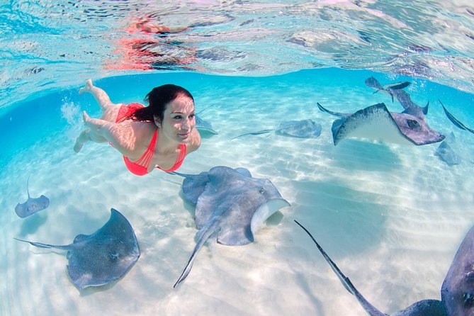 Sharks & Stingrays Encounter and Small Boat Ride from Punta Cana - What This Punta Cana Water Tour Really Offers