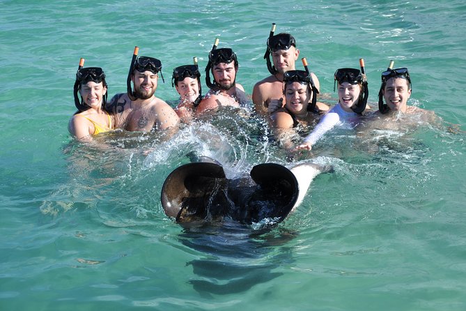 Sharks & Stingrays Encounter and Small Boat Ride from Punta Cana - Guides, Safety, and the Feel of the Operation