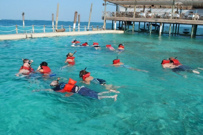 Sharks & Stingrays Snorkeling in Punta Cana with Parasailing - Families, couples, and first-time snorkelers