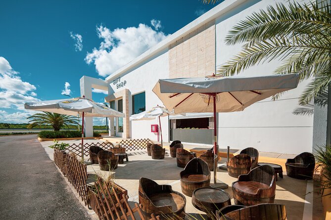 Shopping Tour in Punta Cana with Round Trip Transportation - Chocolate made in-house and gifts to take home