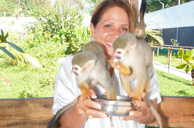 Shore Excursion Monkey Encounter and Puerto Plata City Tour - Central Park and Puerto Plata’s public face