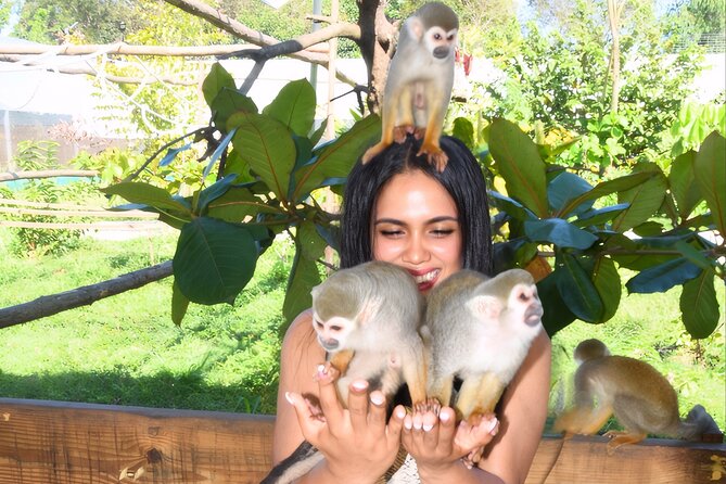 Shore Excursion Monkey Encounter and Puerto Plata City Tour - Amber, cigars, and the two shopping stops