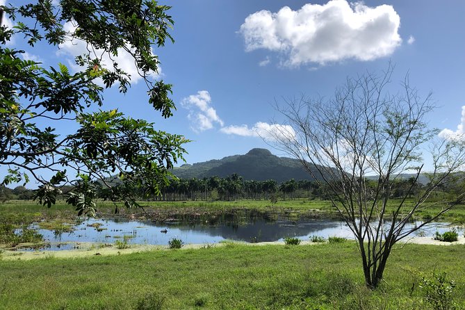 Shore Excursion: V.I.P. DayPass: ATV, Zip Lines, Horseback Riding & Lunch - Who gets the best value from $159.99