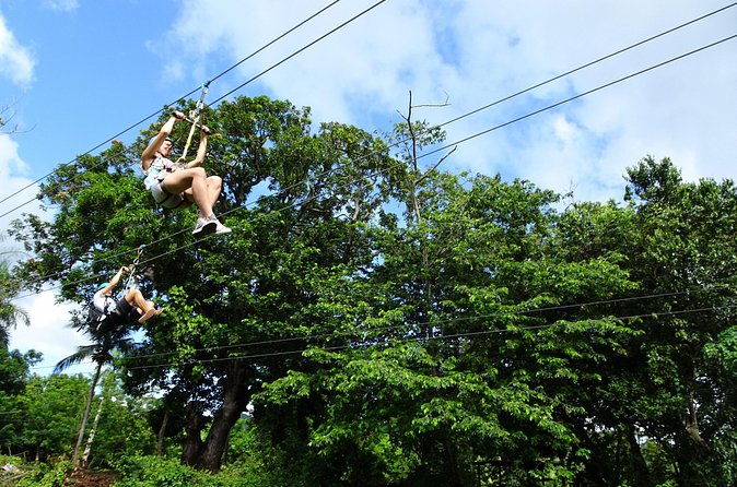 Shore Excursion: Zip Line Adventure - Who will enjoy this most