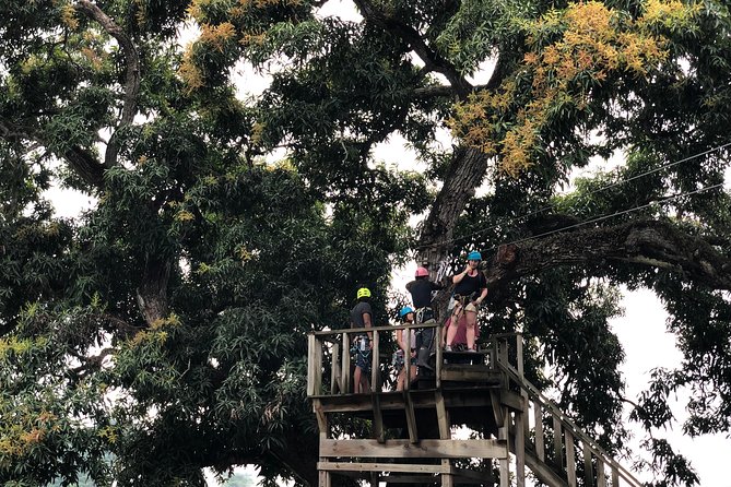 Shore Excursion: Zip Line Adventure - Practical clothing and timing advice