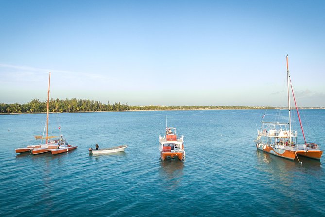 Small-Group Cruising and Snorkeling Catamaran Tour - Snorkeling in the natural reserve