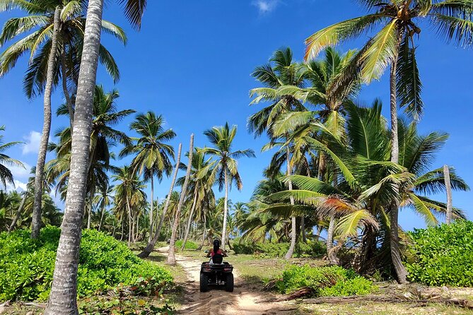 Small Group Exclusive 4x4 ATV Punta Cana: Jungle & Wild Beaches! - Punta del Coco, palm trees, and fresh coconut water