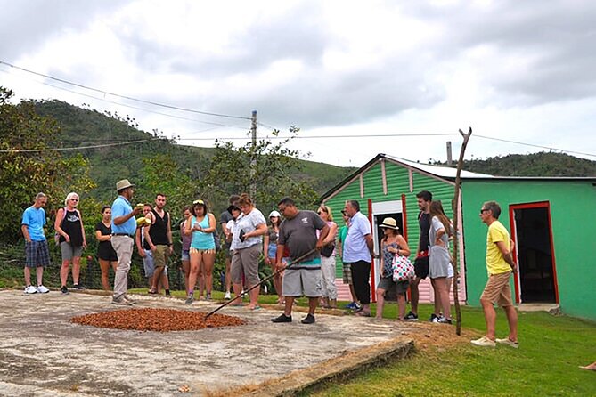 Small Group: Half-Day Cultural Tour of Punta Cana - Macao Beach and the final swim