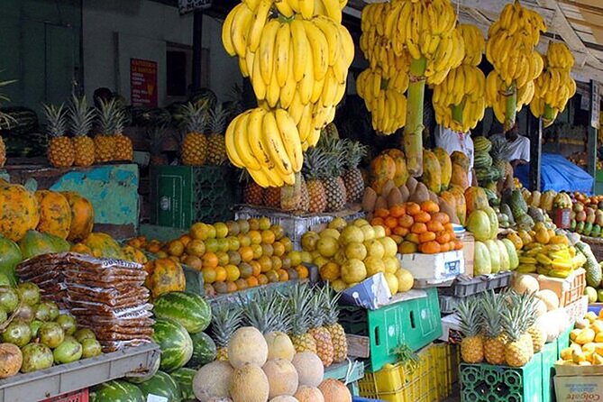 Small Group: Half Day Punta Cana Cultural Tour - Higüey’s Basilica and Agricultural Market