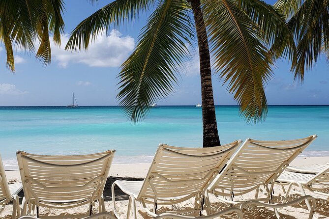 Small Group: Saona Island Full Day Tour - Why the early start is worth it