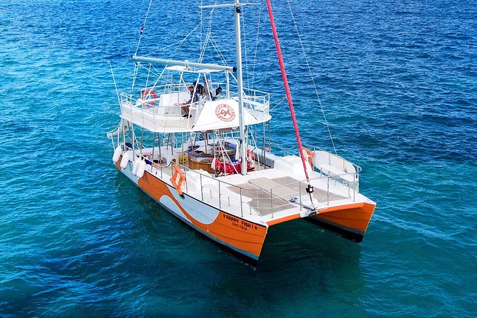 Small Group Snorkeling Cruise with Open Bar and Light Snacks - The reef stop: the main reason to bring a mask