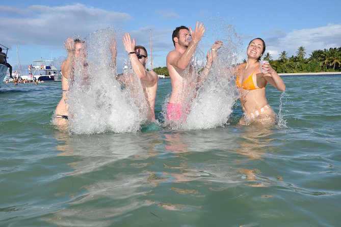 Small Group Snorkeling, Sharks & Stingrays Encounter by boat - Stop one: fish gathering at the snorkeling site