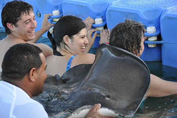 Small Group Snorkeling, Sharks & Stingrays Encounter by boat - Families, swimmers, and party seekers