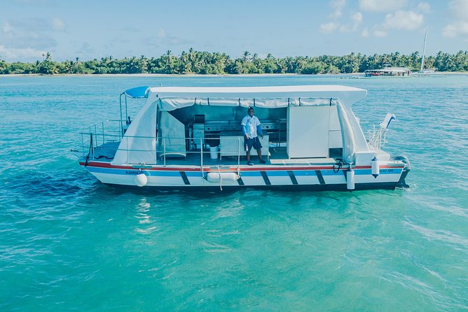 Snorkel Lovers for All Ages & Premium Seafood Lunch in Punta Cana - Why this four-hour catamaran trip feels different