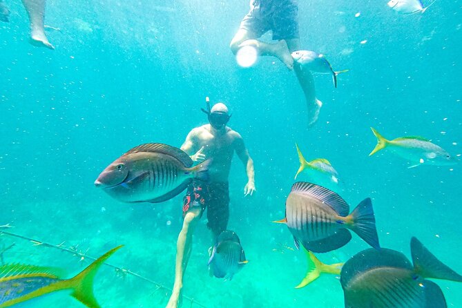 Snorkel Lovers for All Ages & Premium Seafood Lunch in Punta Cana - Lunch at the floating kitchen and bar