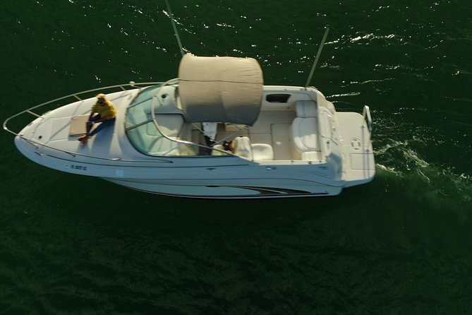 Snorkel & Sandbar on Private Searay Yacht 25ft in Cap Cana Marina ,Punta Cana - Who gets the best value