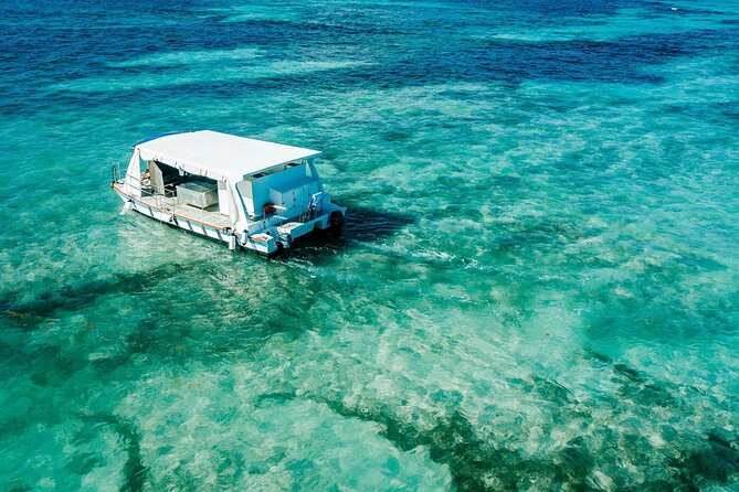 Snorkeling and Swimming on a Caribbean Cruise by Sharky Catamarans - Is $118 a fair price?