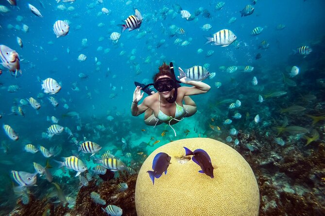 Snorkeling and Swimming on a Caribbean Cruise by Sharky Catamarans - Who should book this cruise?