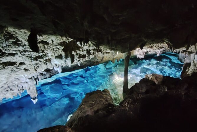 Snorkeling in the Cenotes of Bayahibe - A cave swim with a jungle approach