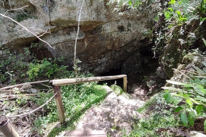 Snorkeling in the Cenotes of Bayahibe - What the $55 price covers
