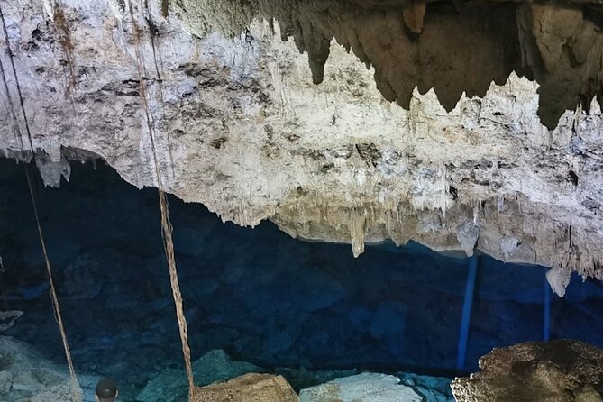 Snorkeling in the Cenotes of Bayahibe - Helpful details for a smoother afternoon