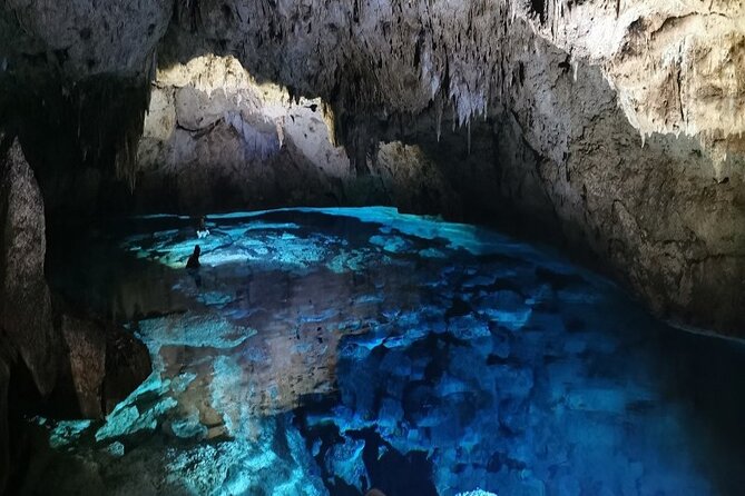 Snorkeling in the Cenotes of Bayahibe - The 20-minute walk through Cotubanama National Park
